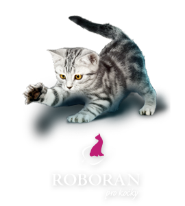 Roboran pro kočky