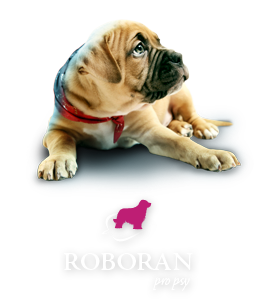 Roboran pro psy