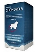 ROBORAN CHONDRO 6